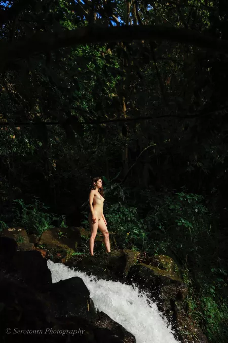 Made it to the top of the waterfall by bellatrixortreat