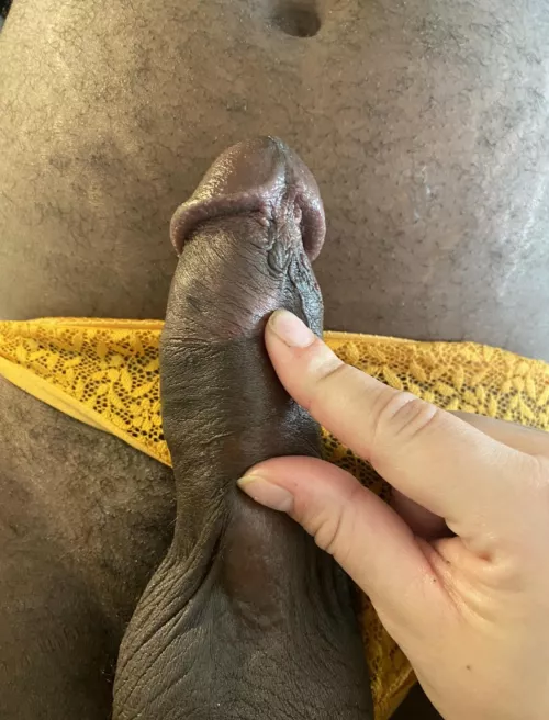 made my little stubby hubby wear his panties today.. by microgoddess4