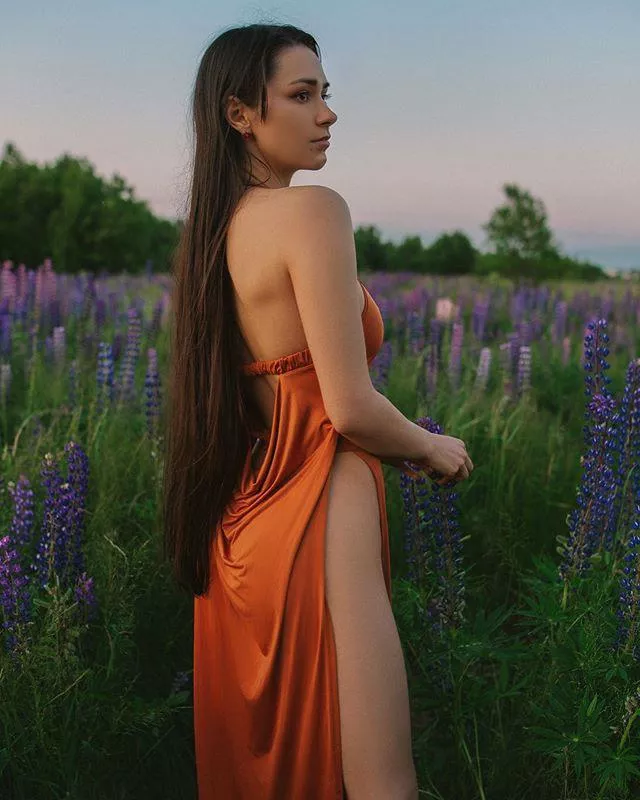 Magic & Wonder posted by Lcfer