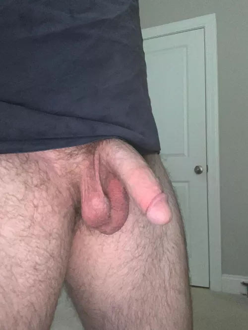 Make him excited and see what happens 😏 by EscapeTourist20