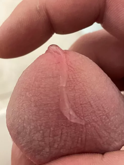 Make me cum. Str8. Wickr athrowaway123 by kinkyfunguy1