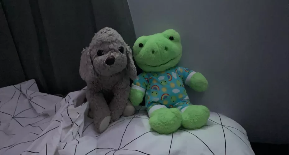 makka & fwoggie, my favorite stuffies <3 by OutlandishnessOld723