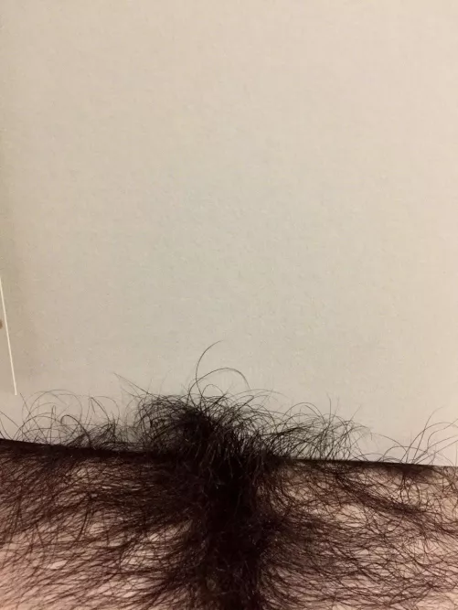 Man size by socalpowerlifter