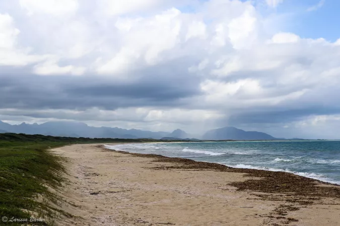 Manafiafy, Ste Luce, Madagascar by seed_madagascar