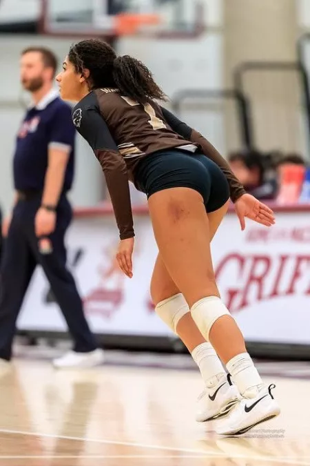 Manitoba bisonettes by benherrol