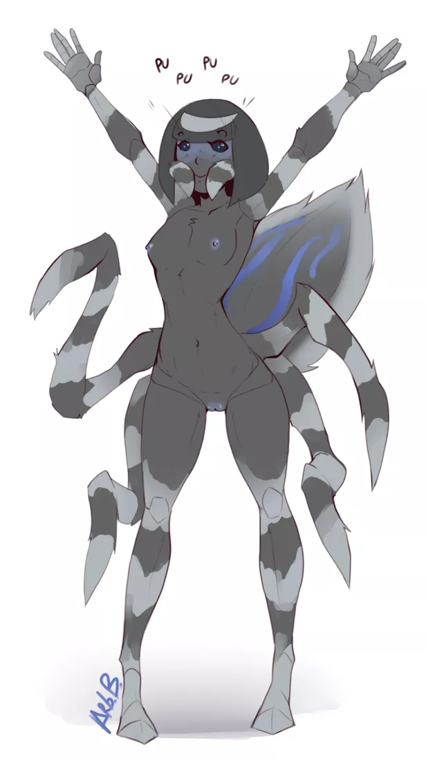 Maratus Spider posted by spiderbutt_