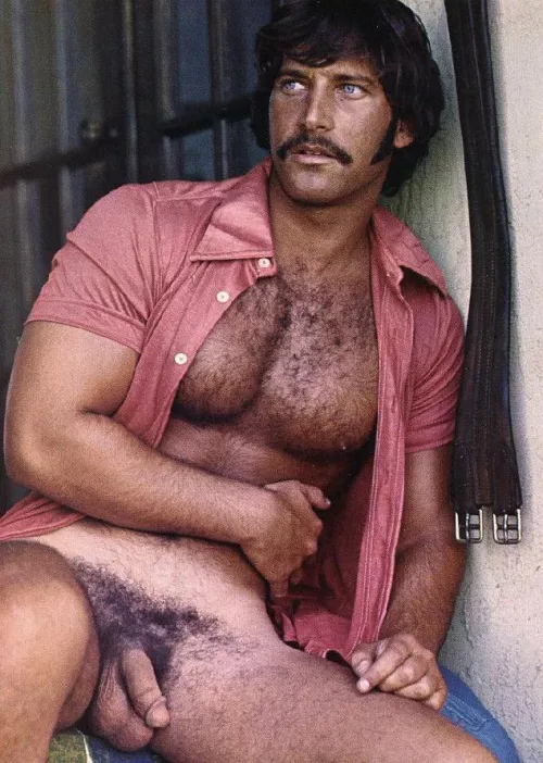 “Marty Wolfson - Playgirl - Nov 1977” … by neilfromsydney2003