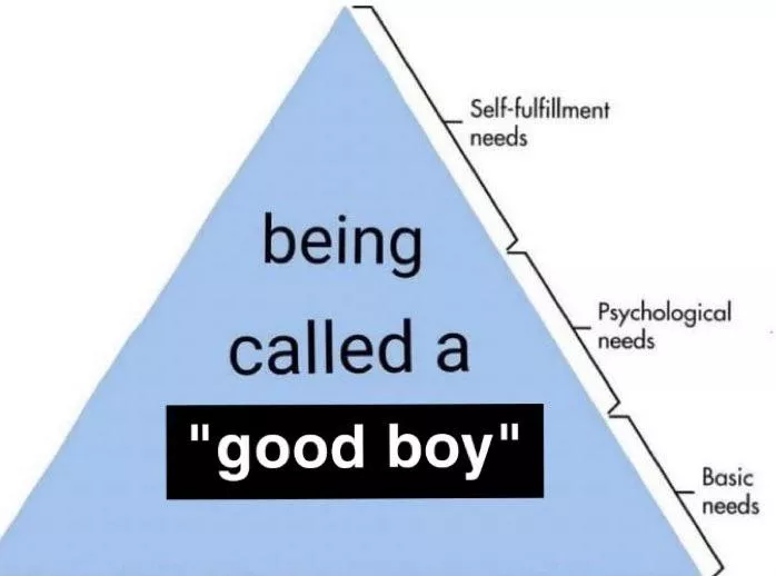 Maslow’s Hierarchy of Needs for him posted by worstwriterever26