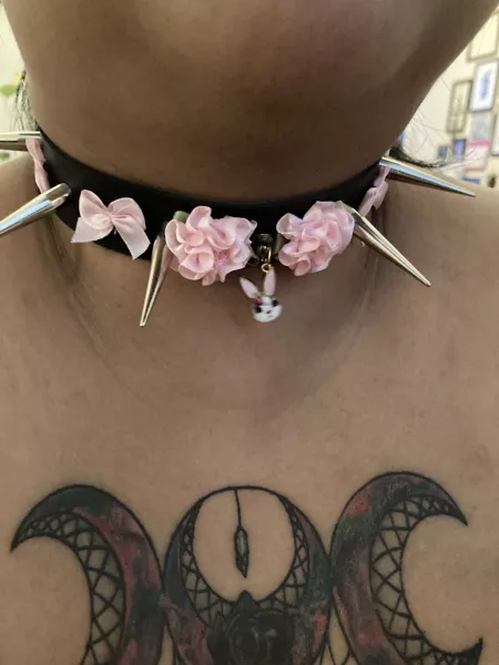 Master bought me a cute new collar! by cimw7