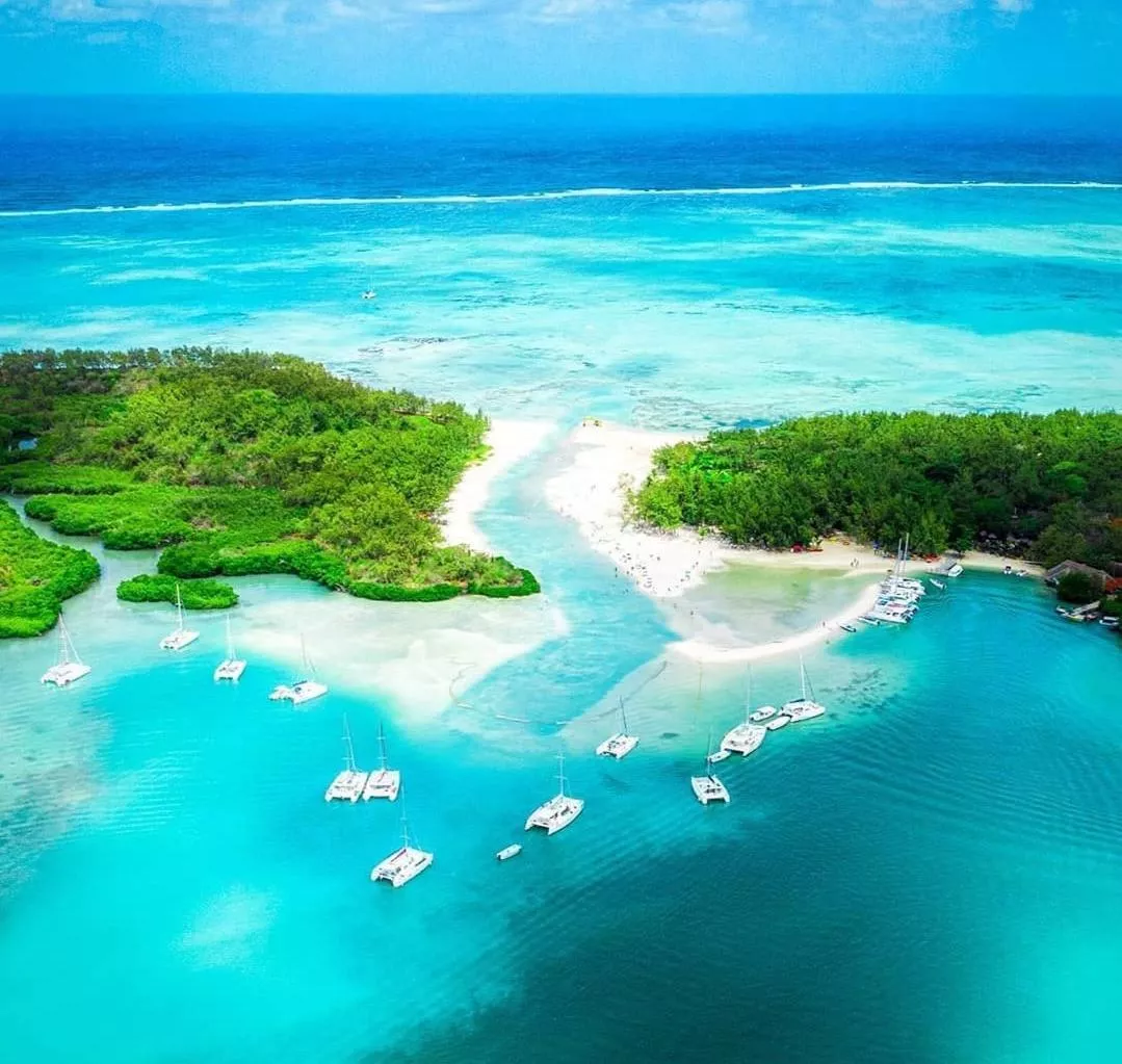 Mauritius 😻 posted by Alarming-Hope