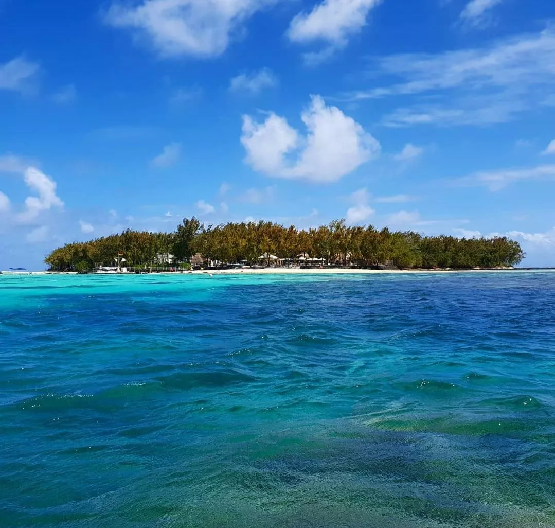 Mauritius 😍 posted by Alarming-Hope