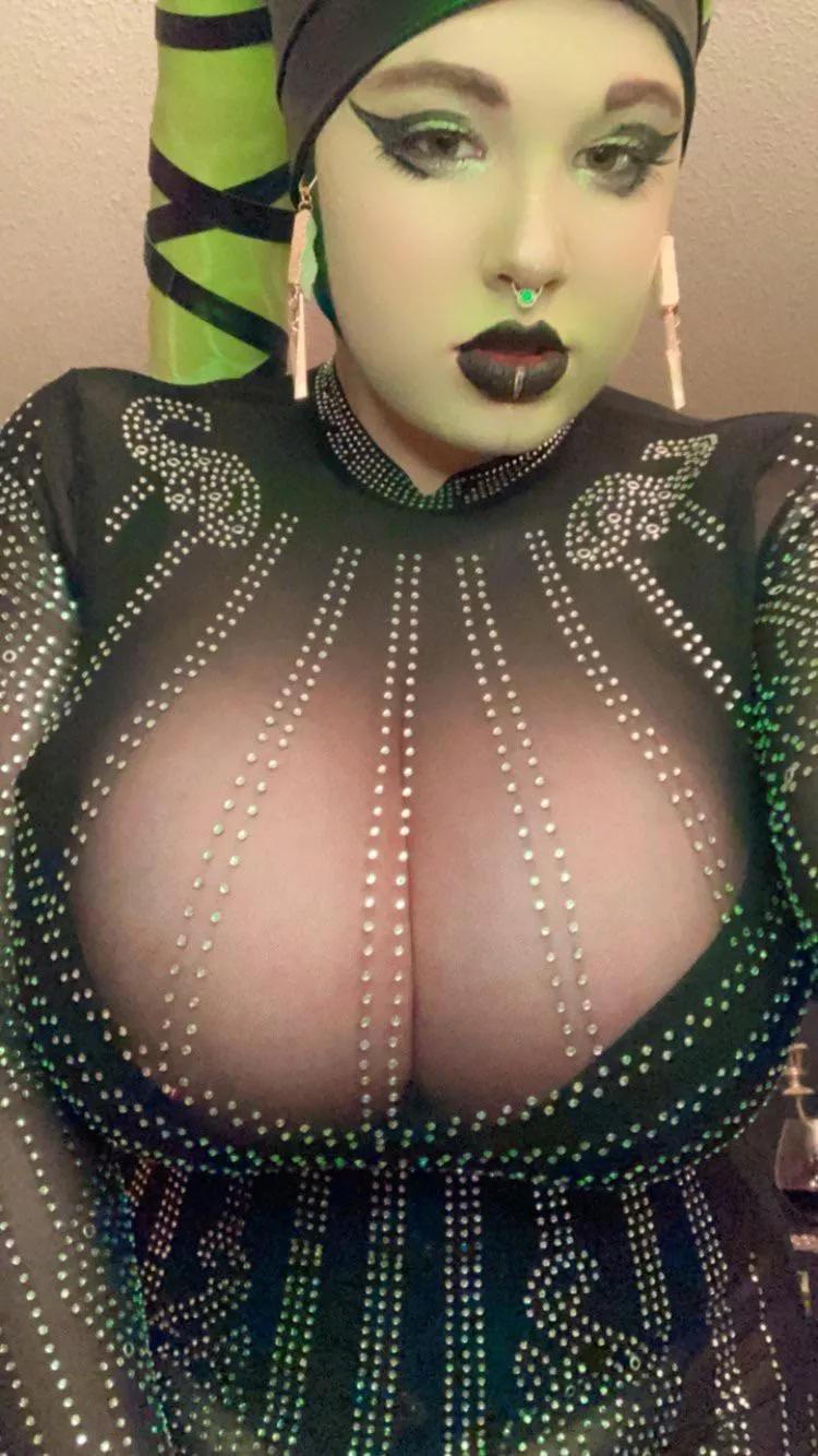 May I take your drink order In this Cantina (Peony Felicity) posted by peonyfelicity