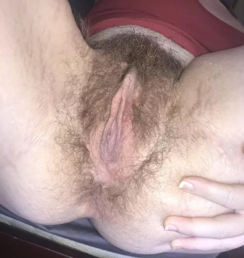 May I use your face as a seat by SpitInMyMouth420_