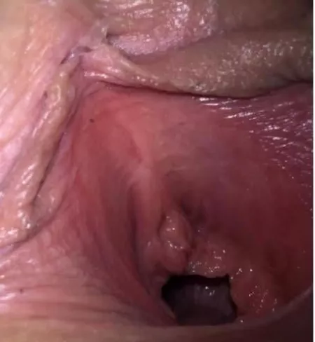 May pussy say hello by RealNicePussyPix