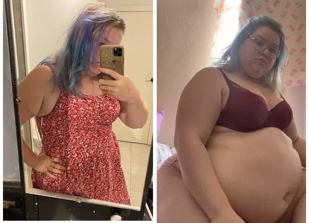 May to December 2021, I think I got a little carried away posted by Acrobatic_Gate_513