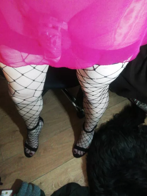 Maybe this is a better pic 🐱 by LimpTadpole4609