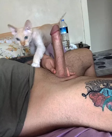 (M)Can you HANDle it ? 😏🍆😈 by 20DonJuan20