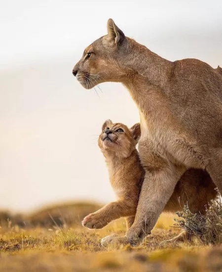 Me and gf out for shopping by ghoraddim