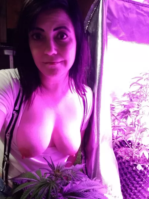 Me and my girls (f) by a_badflower