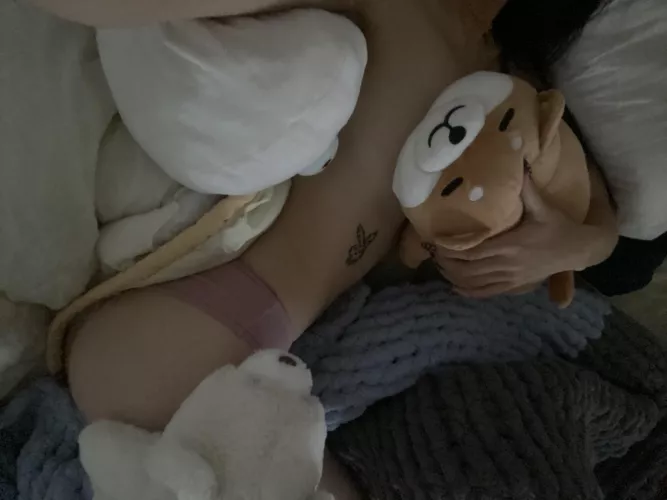 Me and my plushie friends <3 by lycheejinx