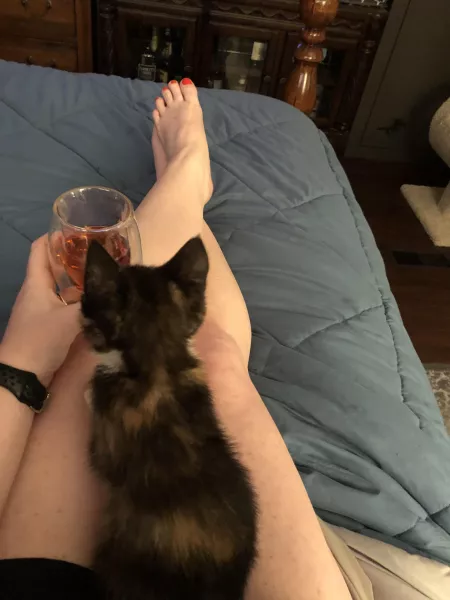 Me and the kitty tonight by divinesouthergirl