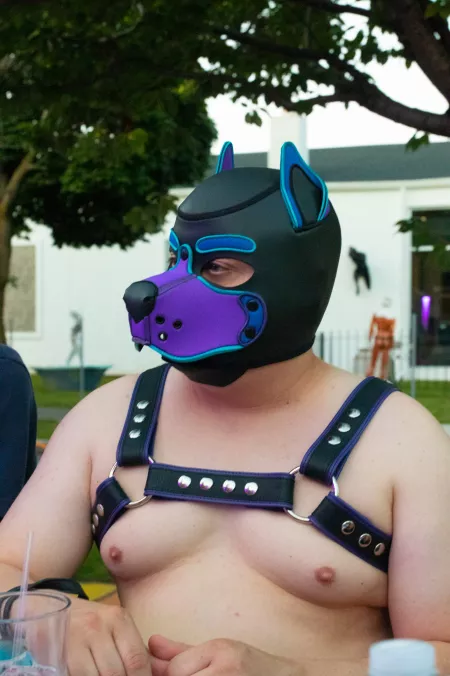 Me at a recent pup gathering by Orylus
