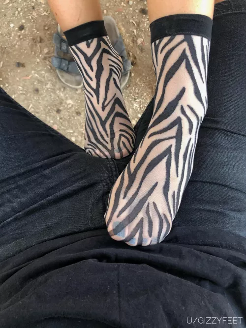 Me doing naughty stuff in zebra socks😈😈 by gizzyfeet