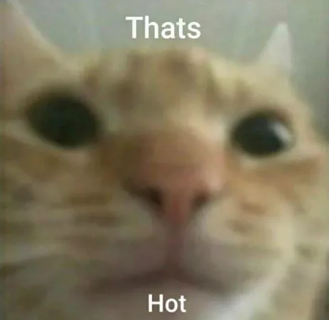 Me remembering I’m a switch when I’m a dominant 90% of the time by afictionalmanswhore