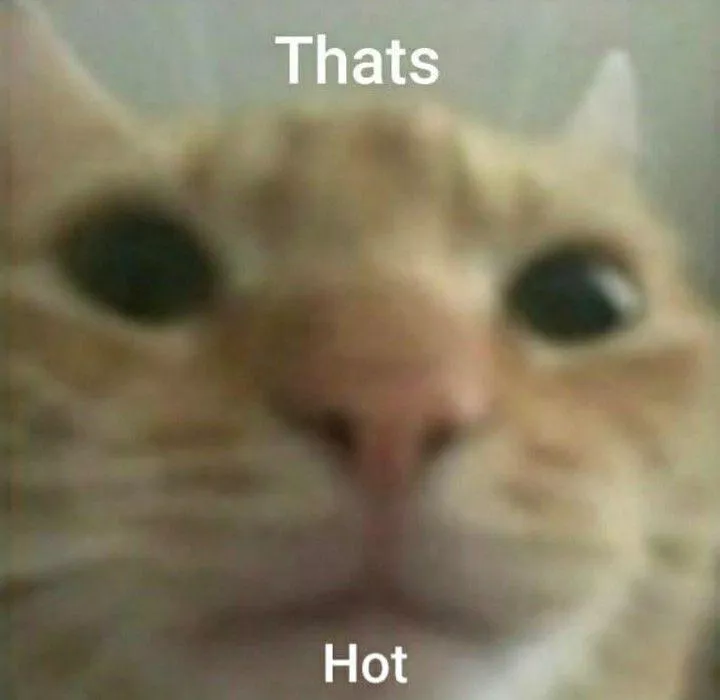 Me remembering I’m a switch when I’m a dominant 90% of the time posted by afictionalmanswhore