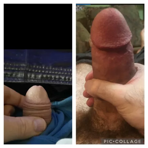 Me vs alphawolfWood by littlesubcock70