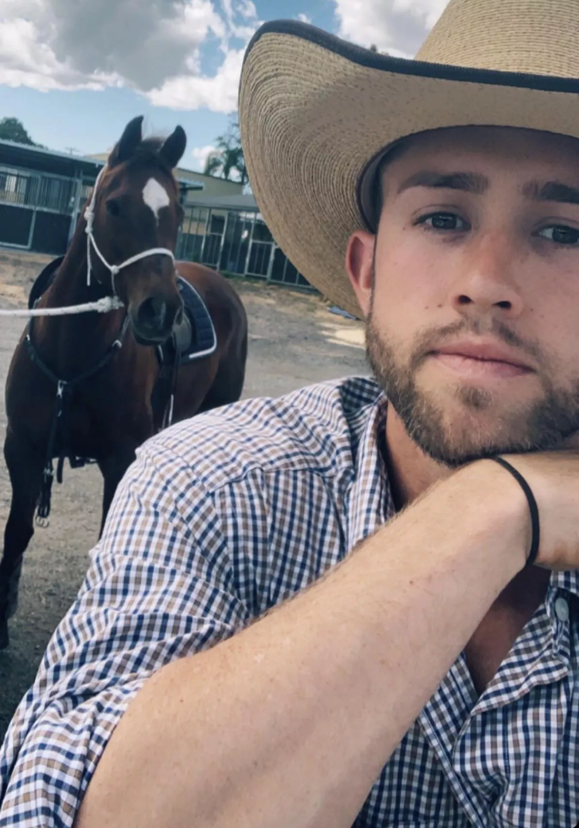 Meanwhile back at the ranch… posted by kay_zo