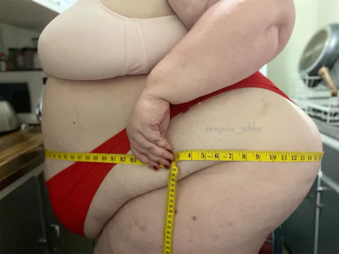 Measuring all the way around…94.5”/240cm by penguin_ssbbw