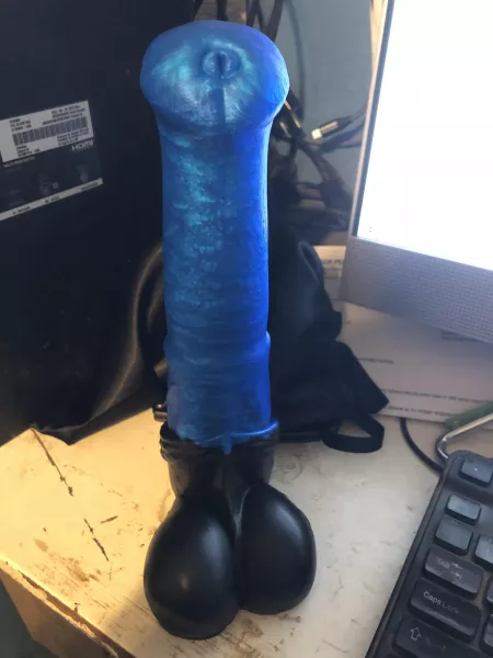 Medium Horvak from Stifflove. First non human dildo. He’s so pretty! by translutactionboy
