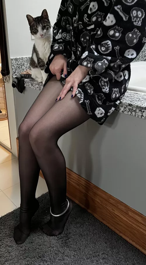 Meet Daenerys, Mother of Dragons. Dani for short. by miss-thursday