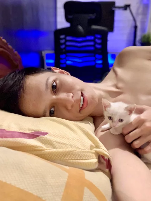 Meet my new kitten, Lexi 🐱 by SomeTourist5991