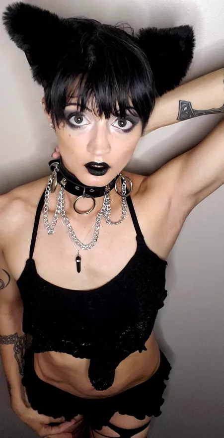 Meow? 🖤🐈‍⬛🖤 by NekoGoth23