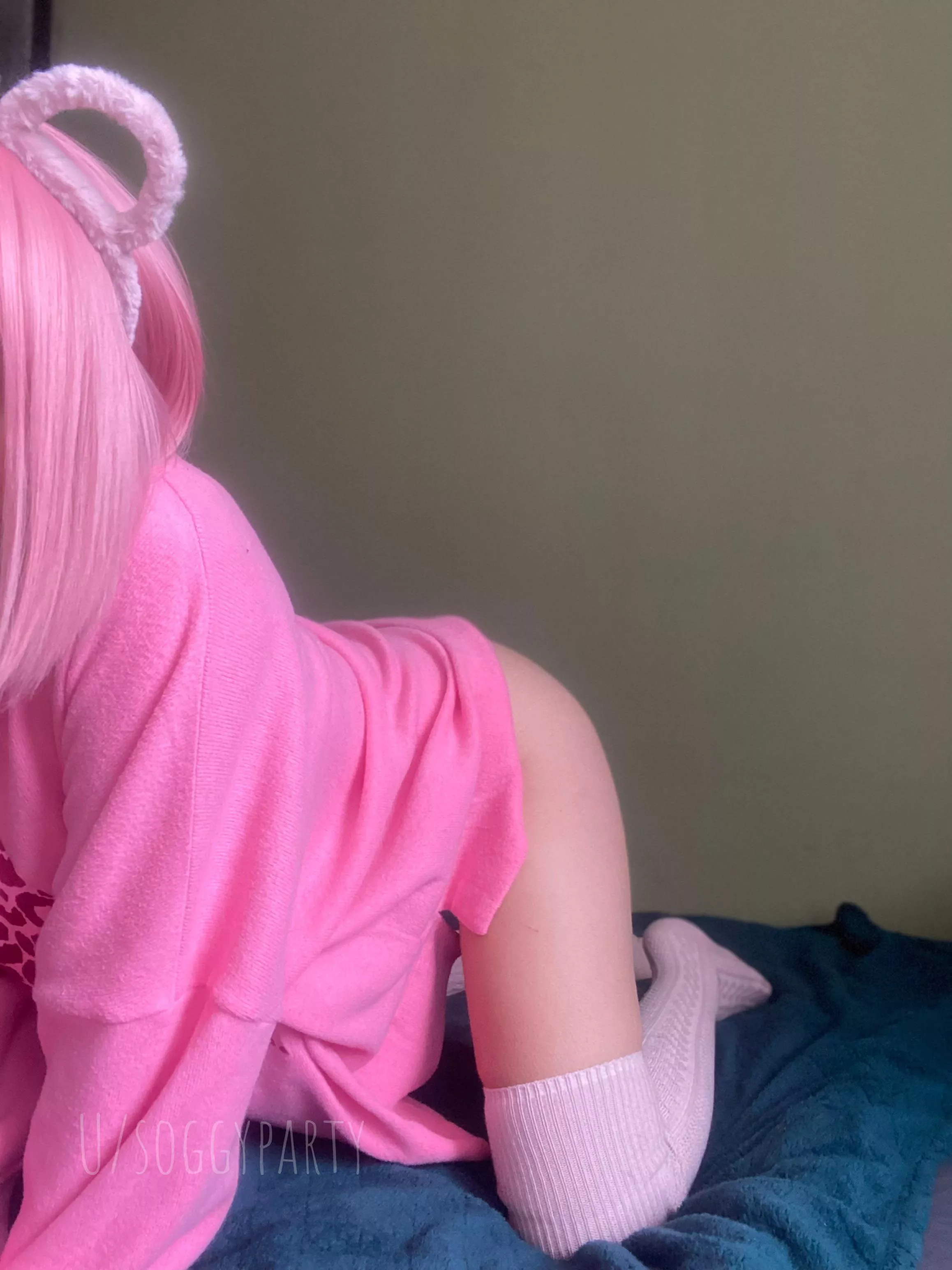 Meow 🌸 posted by SoggyParty