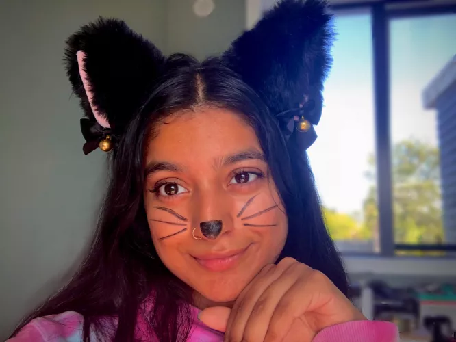 Meow 🐱 by Fearless_Cherry