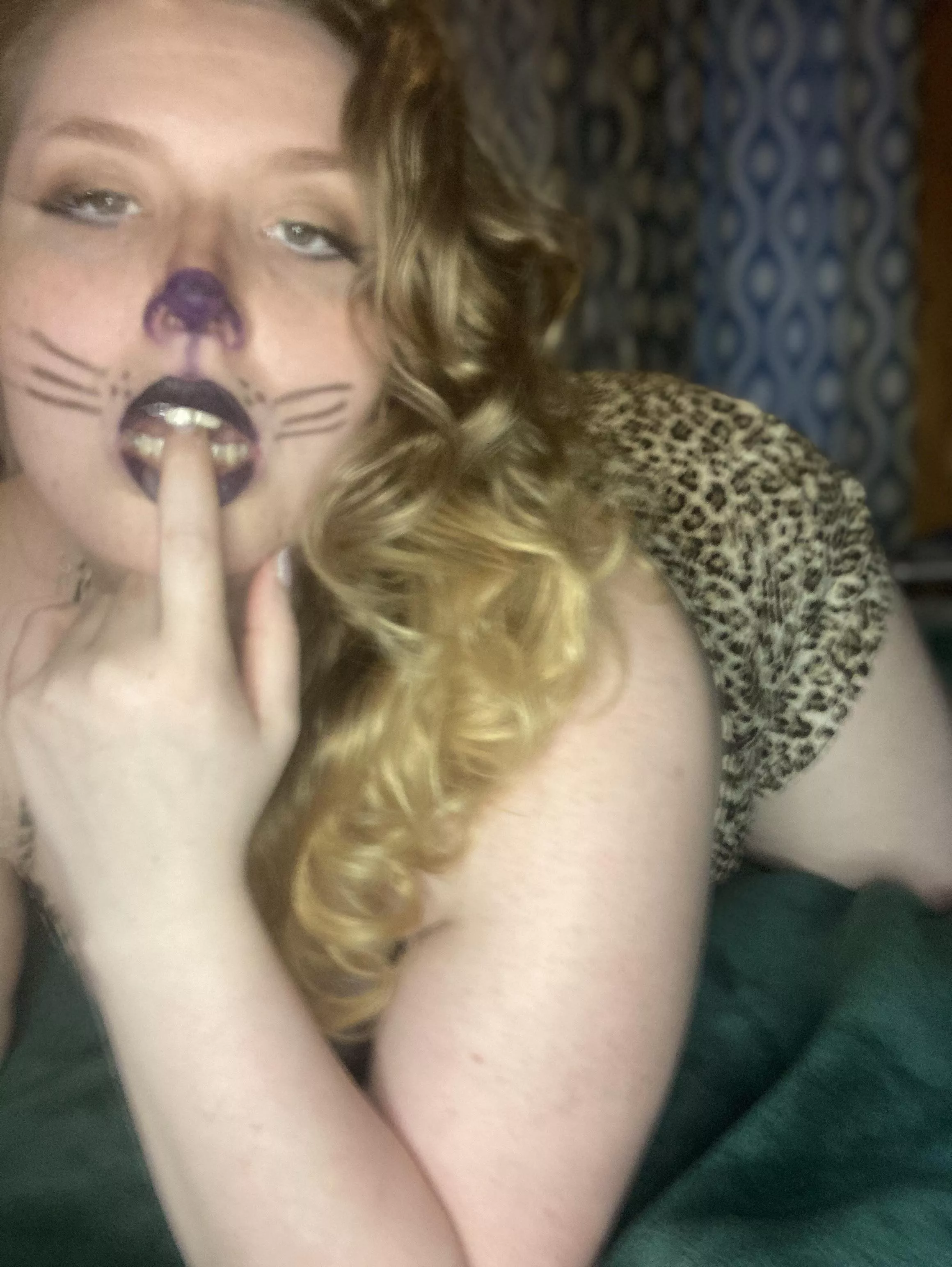 Meow posted by belladonnafern