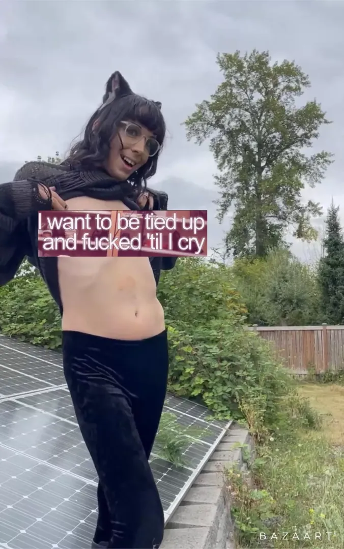 Meow daddy posted by Kikidarling666