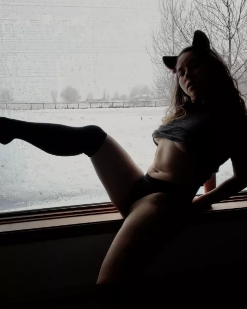 Meow for me. by AutumnSunshiine