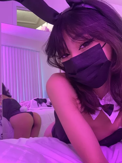 meow meow? by lovrese