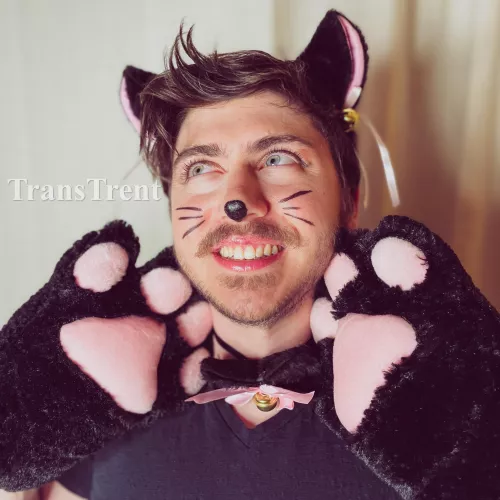 ‘Meow meow’ - kitty for good morning by TransTrent