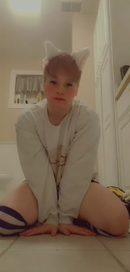 Meow meow by Hedgehoggu_otaku31