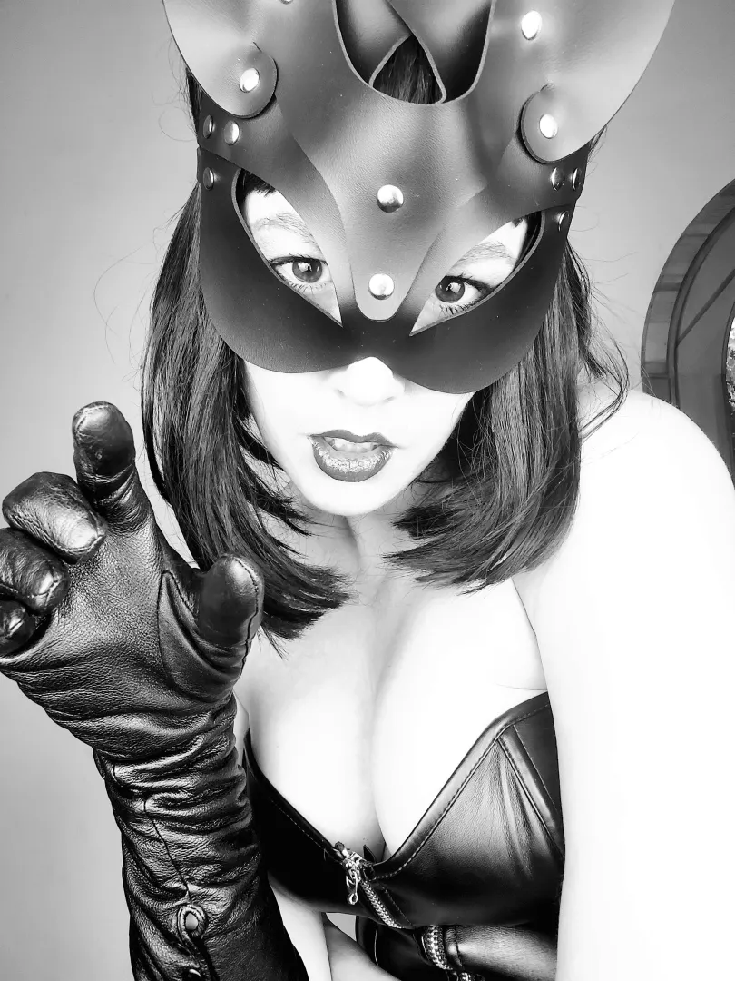 Meow 🖤 [OC] posted by Niamh_Satie