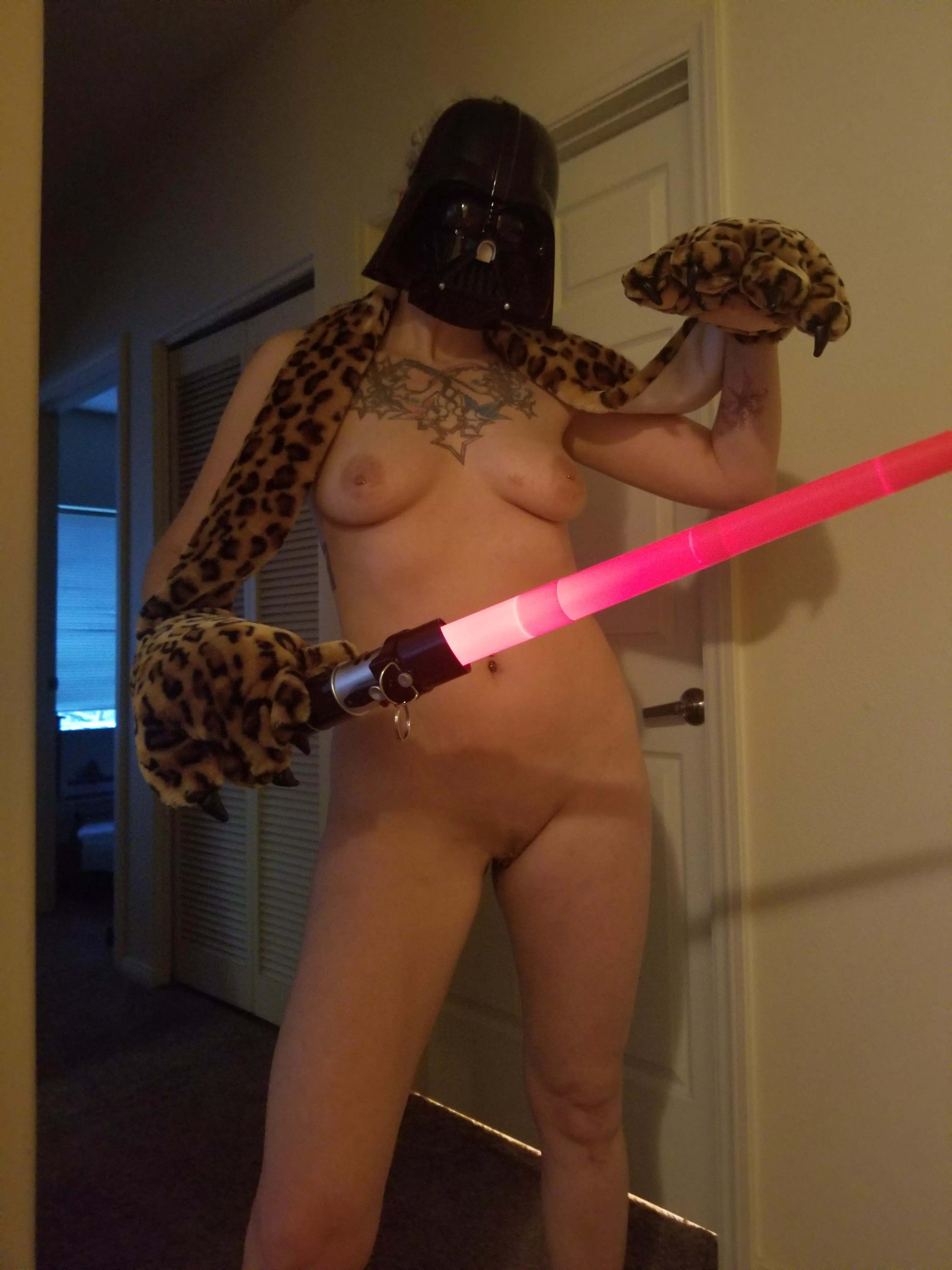 Meow the force be with you. [F] posted by MrsJohnnyKaba