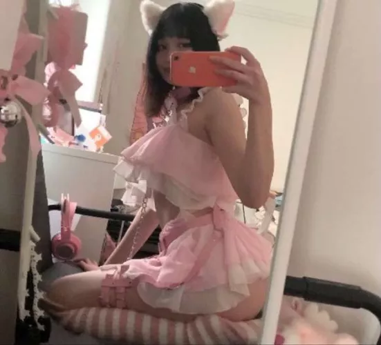 Meowww 💕 by Zealousideal-Pen-739