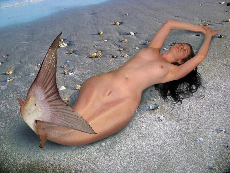 Mermaid p***y posted by jack-natas