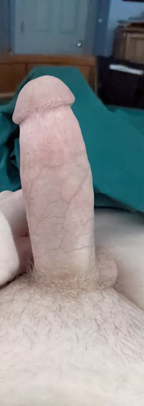 Merry Christmas! by bmblbee22