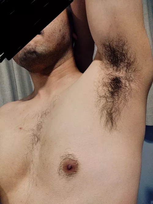 Merry Christmas 🌲 by nobody_account_